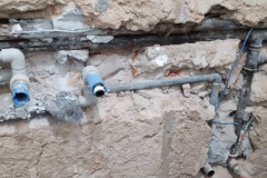 IMG_20220127_084951_1