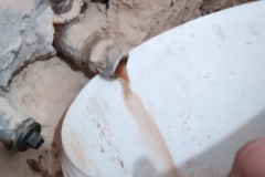 IMG_20220127_085244_5