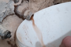 IMG_20220127_085246_5